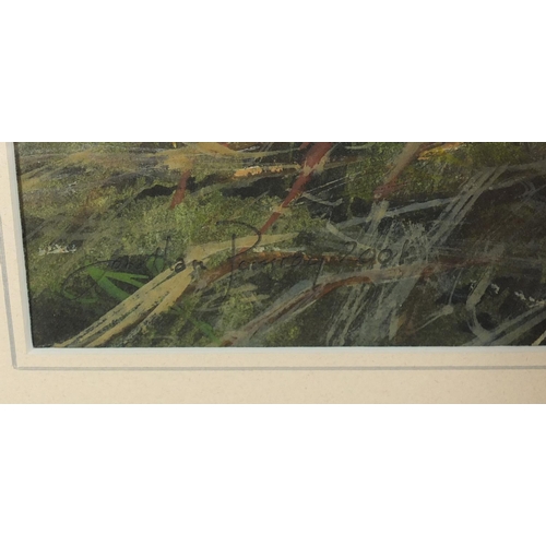 2556 - Jonathan Pomrory 2000 - Sandpiper, watercolour, inscribed verso, mounted and framed, 48cm x 29cm
