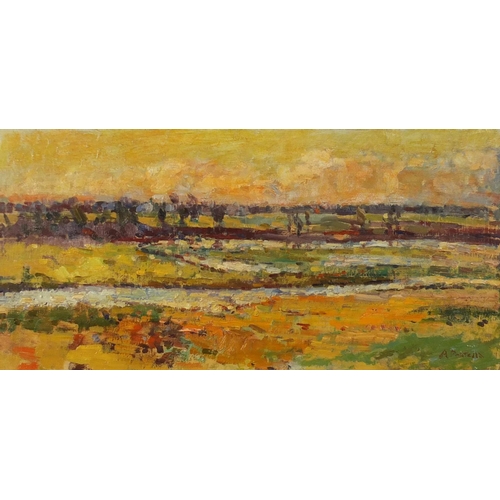 1289 - River landscape, impressionist oil on canvas, bearing an indistinct signature possibly A Pedtella, m... 