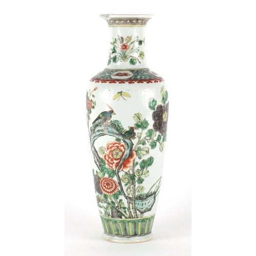 386 - Chinese porcelain vase, hand painted in the famille verte palette with birds of paradise and insects... 