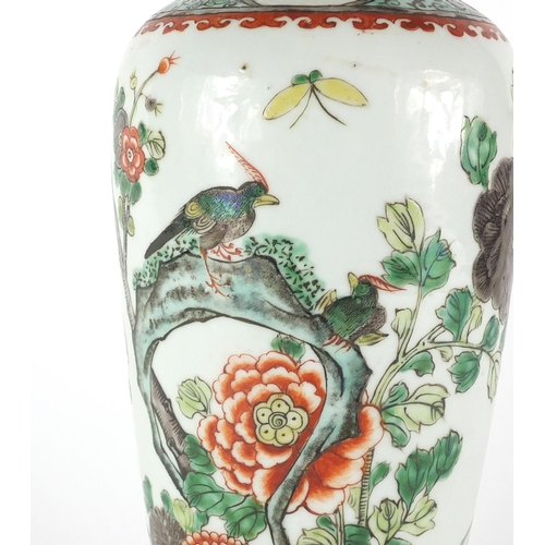 386 - Chinese porcelain vase, hand painted in the famille verte palette with birds of paradise and insects... 