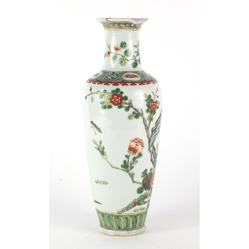 386 - Chinese porcelain vase, hand painted in the famille verte palette with birds of paradise and insects... 