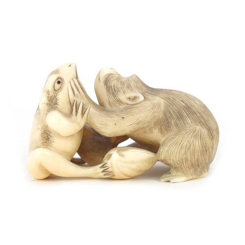 484 - Japanese carved ivory Okimono of a monkey and frog, 7cm wide