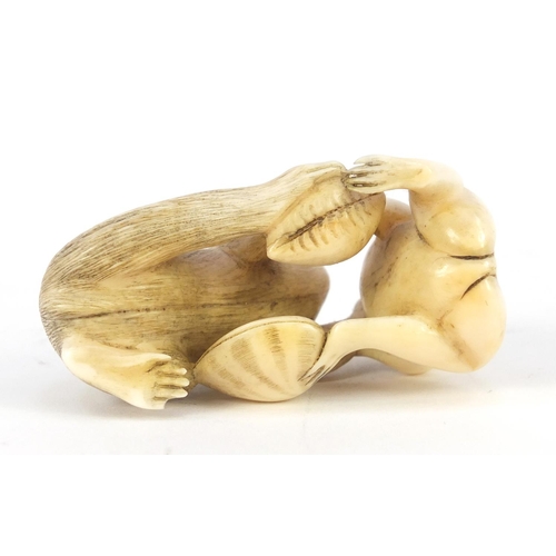 484 - Japanese carved ivory Okimono of a monkey and frog, 7cm wide