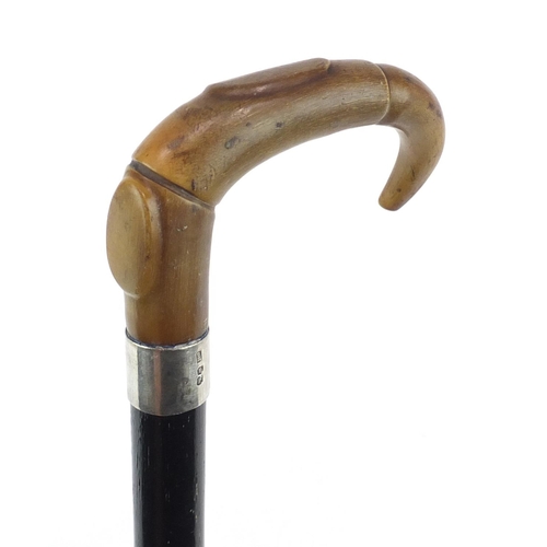 76 - Horn handled walking stick with silver collar and ebonised shaft, probably rhinoceros horn, 97cm in ... 