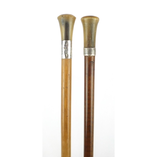 78 - Two horn handled walking sticks with silver collars, probably rhinoceros horn, the largest 93cm in l... 