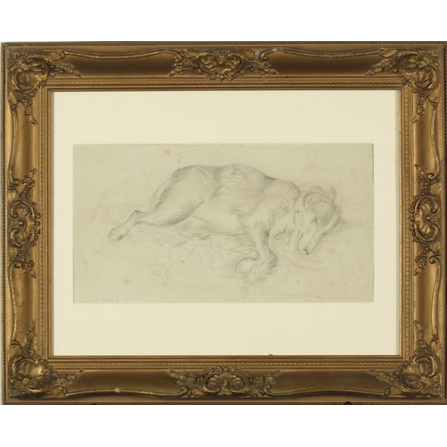 1061 - George Chinnery - Sleeping hounds, pencil drawing, mounted and framed, 27.5cm x 14.5cm