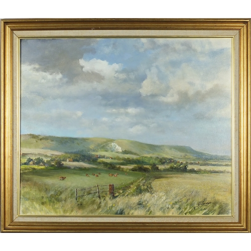2230 - Norman Dinnage - Bo-Peep and Firle Beacon, oil on canvas, label verso, mounted and framed, 60cm x 50... 