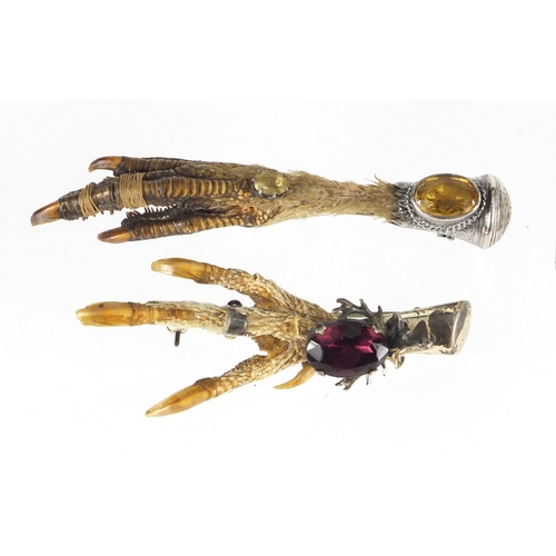 2935 - Two Scottish silver animal claw brooches set with citrine and amethyst together with a silver bangle... 