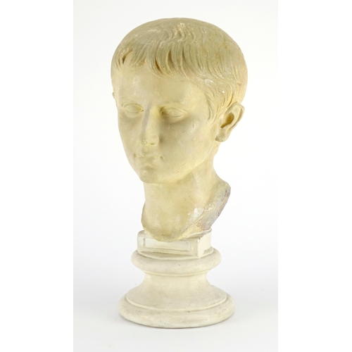 2191 - Plaster bust of a young male, 43.5cm high