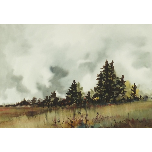 76 - Del Vecchio - Landscapes, pair of watercolours, both mounted and framed, 54cm x 36cm