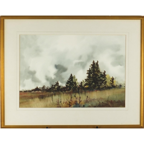 76 - Del Vecchio - Landscapes, pair of watercolours, both mounted and framed, 54cm x 36cm