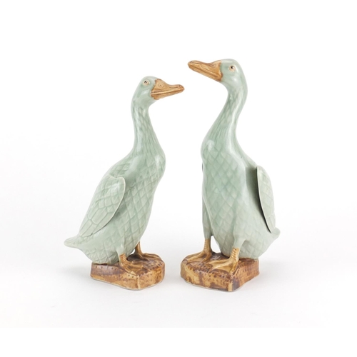 2189 - Near pair of Chinese celadon glazed porcelain ducks, each 26cm high
