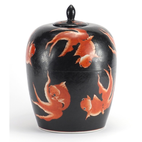 2159 - Large Chinese porcelain jar and cover, hand painted with koi carp, 30cm high