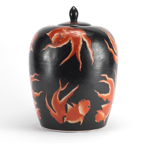 2159 - Large Chinese porcelain jar and cover, hand painted with koi carp, 30cm high