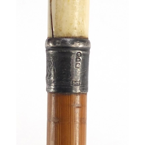 156 - Victorian carved ivory parasol handle in the form of a greyhound's head, with beaded eyes and silver... 