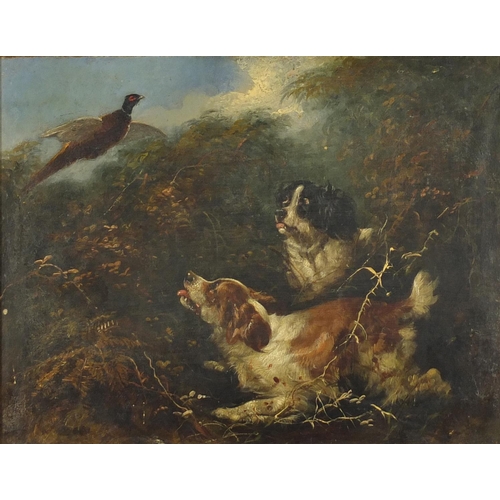 1280 - George Armfield - Two spaniels watching a pheasant, 19th century oil on canvas, framed, 44.5cm x 34.... 