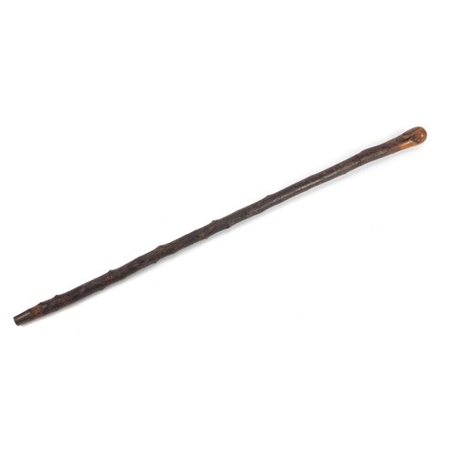 162 - Naturalistic sword stick with steel blade, 91cm in length