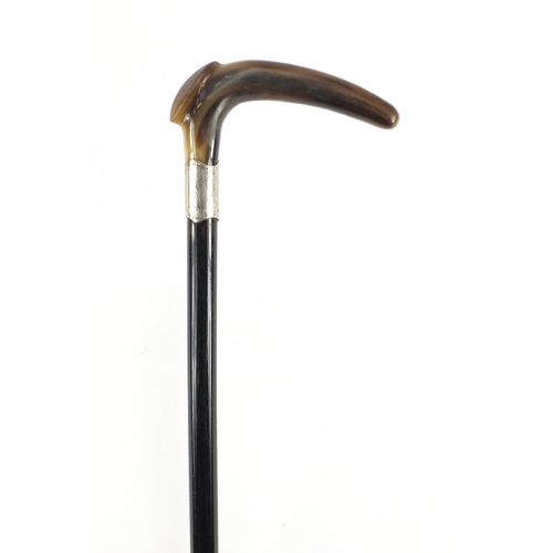 143 - Horn handled walking stick with silver collar and ebony shaft, possibly rhinoceros horn, 90cm in len... 