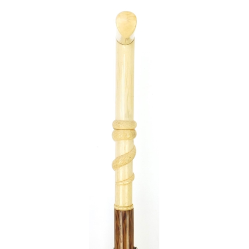 151 - Palmwood walking stick with bone handle carved with a serpent, possibly whale bone, 97cm in length