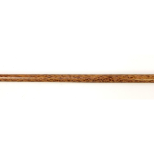 151 - Palmwood walking stick with bone handle carved with a serpent, possibly whale bone, 97cm in length