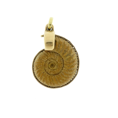 998 - Fossilized Ammonite pendant with unmarked gold mount, 4cm in length, 26.8g