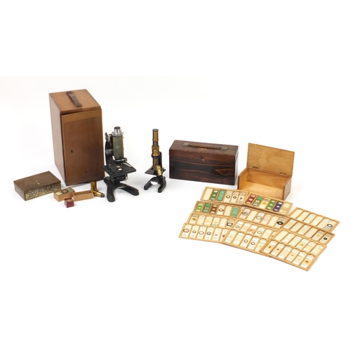 65 - Scientific instruments comprising student microscopic slides, some prepared by Newton Co, Beck of Lo... 