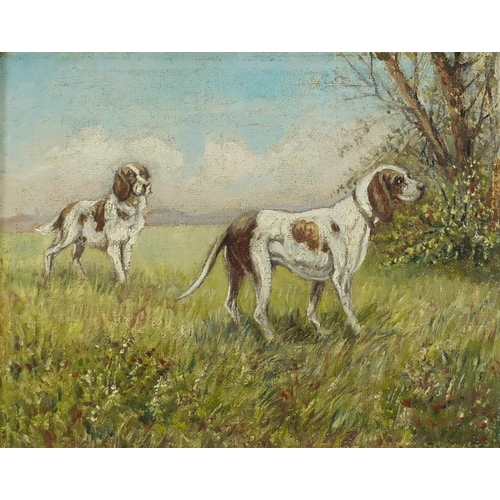 1278 - Two springer spaniels in a field, oil on canvas, mounted and framed, 24cm x 19cm