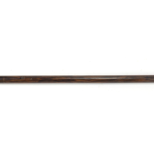 160 - Silver topped walking stick with ducks head design handle, Birmingham hallmarks, 90cm in length