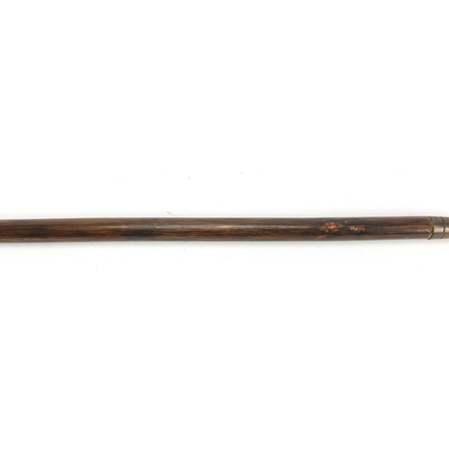 160 - Silver topped walking stick with ducks head design handle, Birmingham hallmarks, 90cm in length