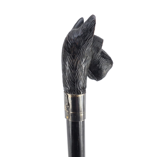 159 - Black forest ebonised walking stick with carved Scotty dog head design handle, 92cm in length