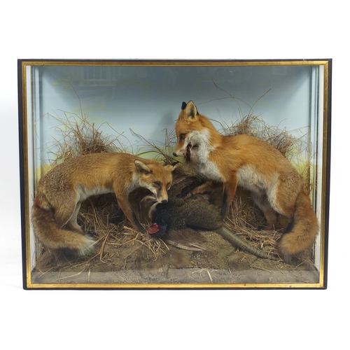 85 - Victorian taxidermy glazed display of two foxes with a pheasant, 91cm H x 122cm W x 31cm D