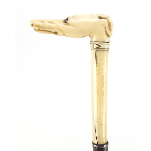 156 - Victorian carved ivory parasol handle in the form of a greyhound's head, with beaded eyes and silver... 