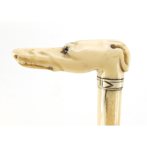 156 - Victorian carved ivory parasol handle in the form of a greyhound's head, with beaded eyes and silver... 