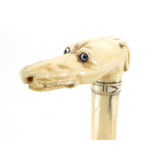 156 - Victorian carved ivory parasol handle in the form of a greyhound's head, with beaded eyes and silver... 