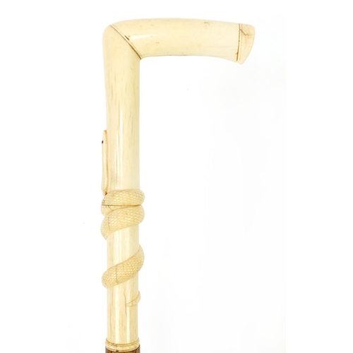 151 - Palmwood walking stick with bone handle carved with a serpent, possibly whale bone, 97cm in length