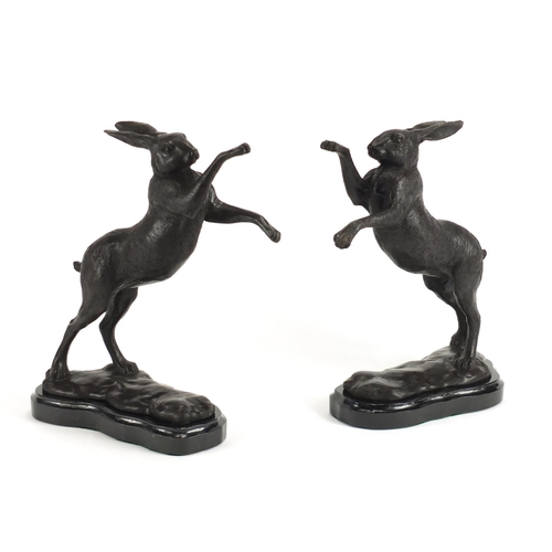 2175 - Pair of patinated bronze hares raised on shaped marble bases, each 29.5cm high