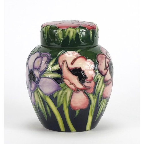 2355 - Moorcroft pottery ginger jar and cover with box, hand painted in the Anemone tribute pattern, dated ... 