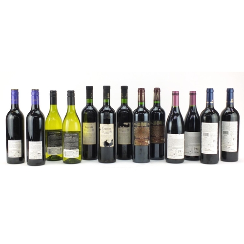 2435 - Thirteen bottles of wine including Shiraz, Sauvignon Blanc and Cabernet Sauvignon