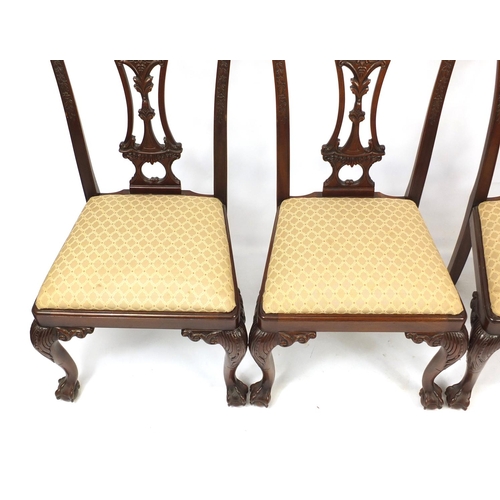 2020 - Set of eight Chippendale style mahogany chairs with drop in seats including two carvers, all raised ... 