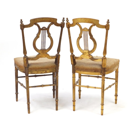 2060 - Pair of 19th century French Louis XVI style gilt wood chairs with canes backs, each 86cm high