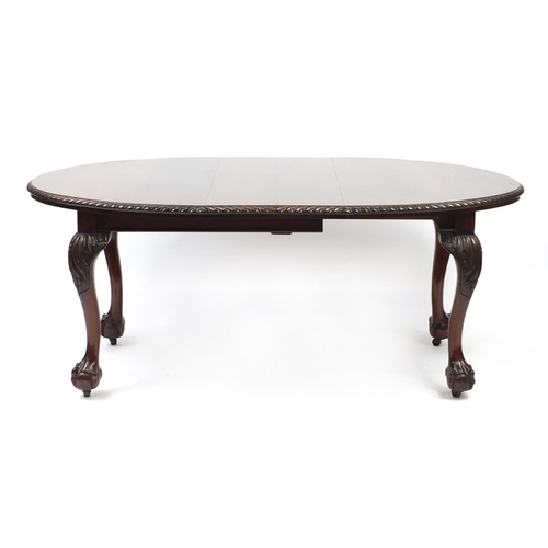 2019 - Chippendale style mahogany D end wind out dining table with ball and claw feet, 74cm H x 174cm W (ex... 