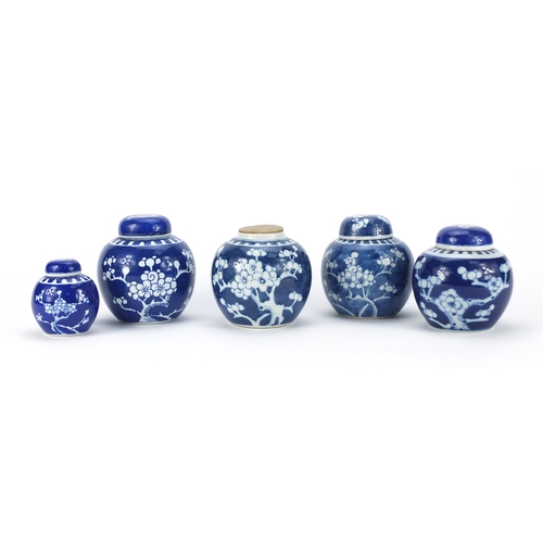 2446 - Five Chinese blue and white porcelain ginger jars, four with covers, each hand painted with prunus f... 