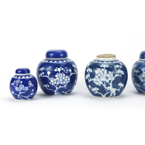 2446 - Five Chinese blue and white porcelain ginger jars, four with covers, each hand painted with prunus f... 