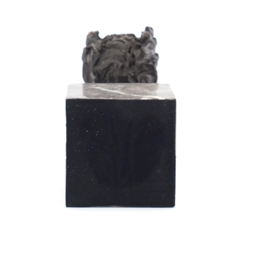 2305 - Patinated bronze Scotty dog head raised on a square marble base, 19cm high