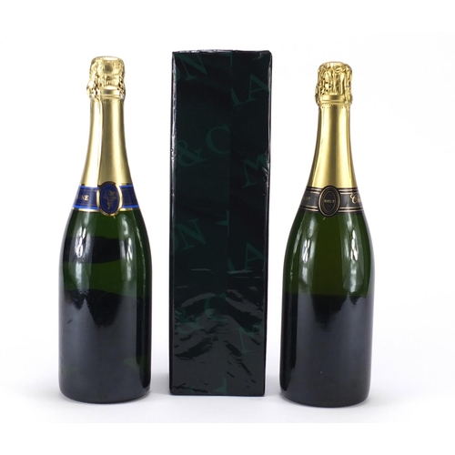 2200 - Three bottles of champagne including Moët & Chandon 1986 in a sealed box and Fortnum & Mason