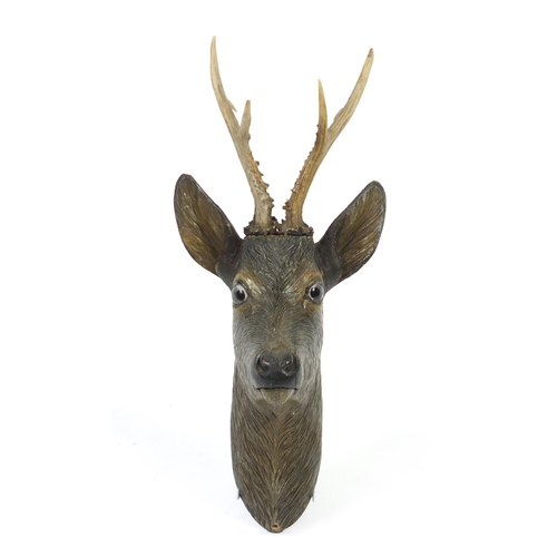 2012 - Black forest carved wood deer's head with glass eyes, 56cm high