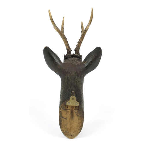 2012 - Black forest carved wood deer's head with glass eyes, 56cm high