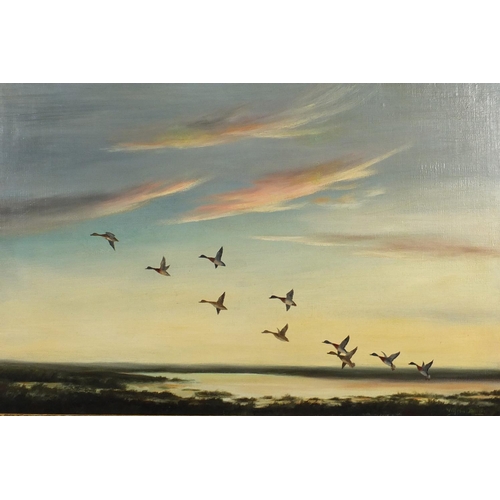 2085 - Wilfred Bailey - Ducks in flight over water, oil on canvas, framed, 76cm x 50cm