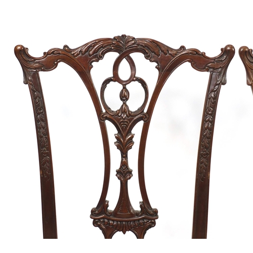 2010 - Set of eight Chippendale style mahogany chairs with drop in seats including two carvers, all raised ... 