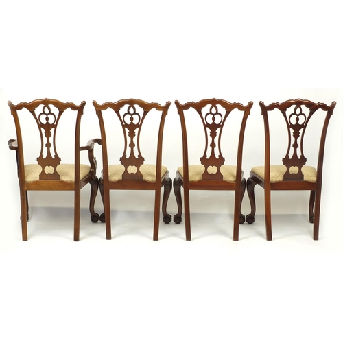 2010 - Set of eight Chippendale style mahogany chairs with drop in seats including two carvers, all raised ... 
